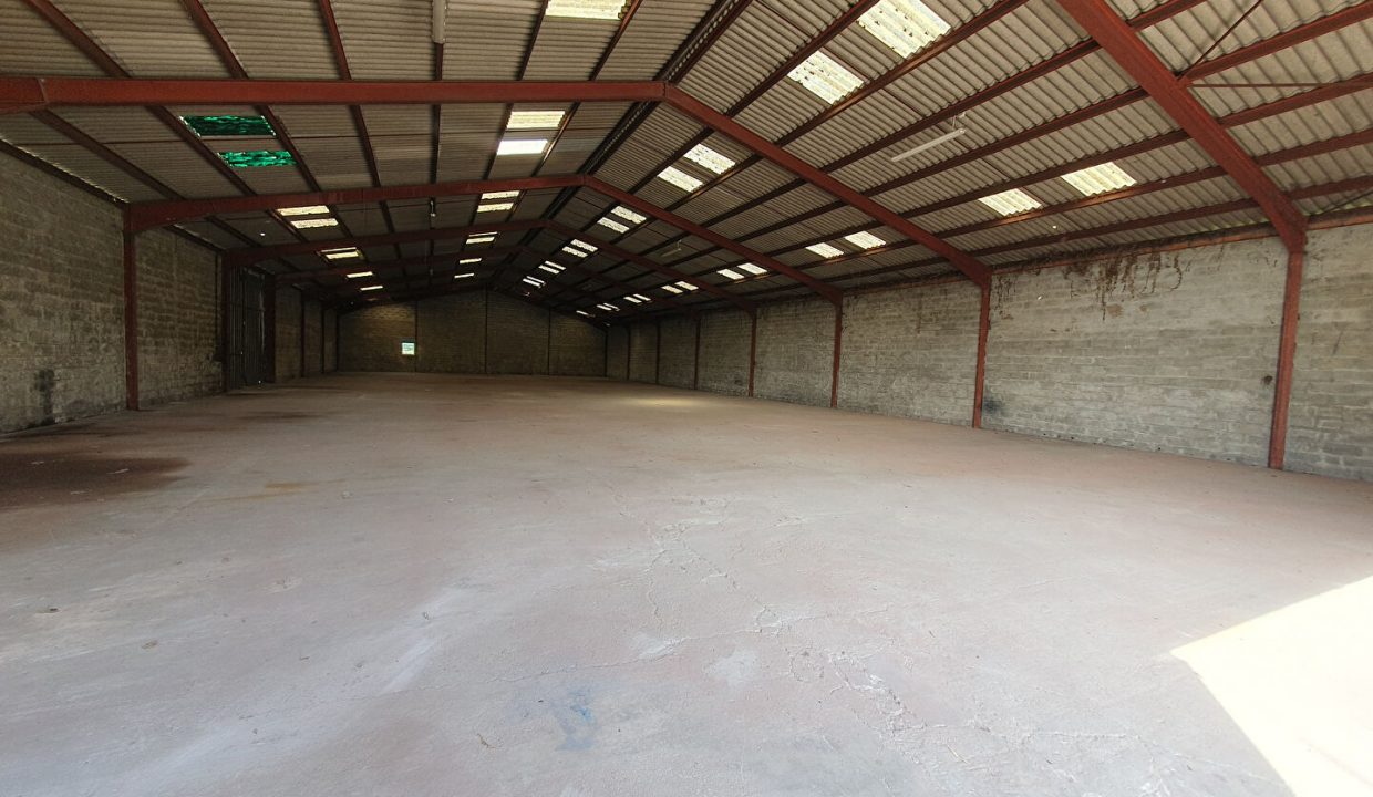 publique-52264704-Nr-3