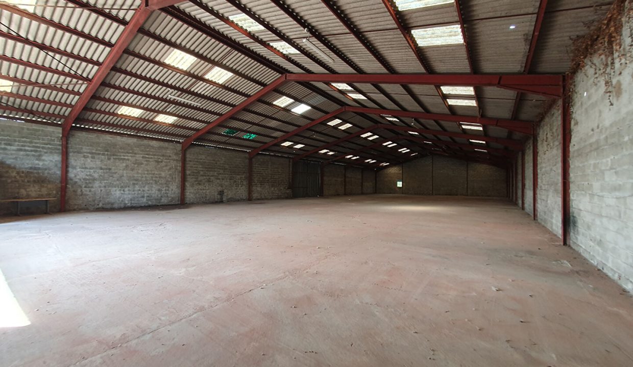 publique-52264704-Nr-4