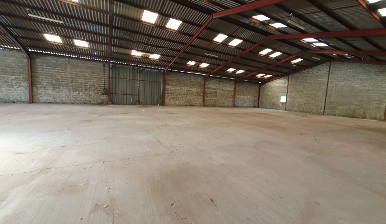 publique-52264704-Nr-6