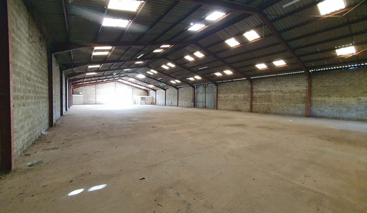 publique-52264704-Nr-7