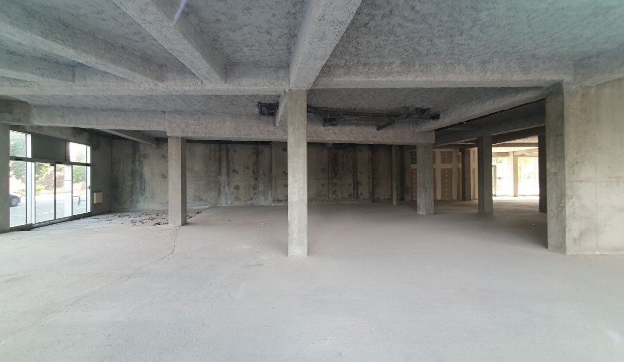 publique-53097923-Nr-3