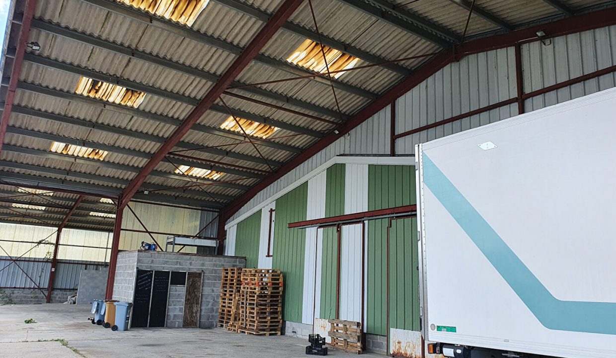 publique-53097975-Nr-6