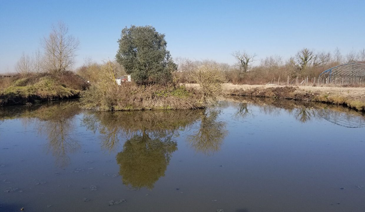 publique-54156805-Nr-5