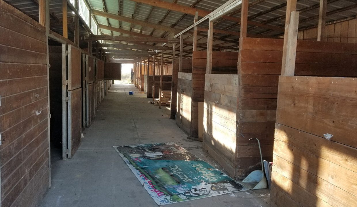 publique-54156807-Nr-2