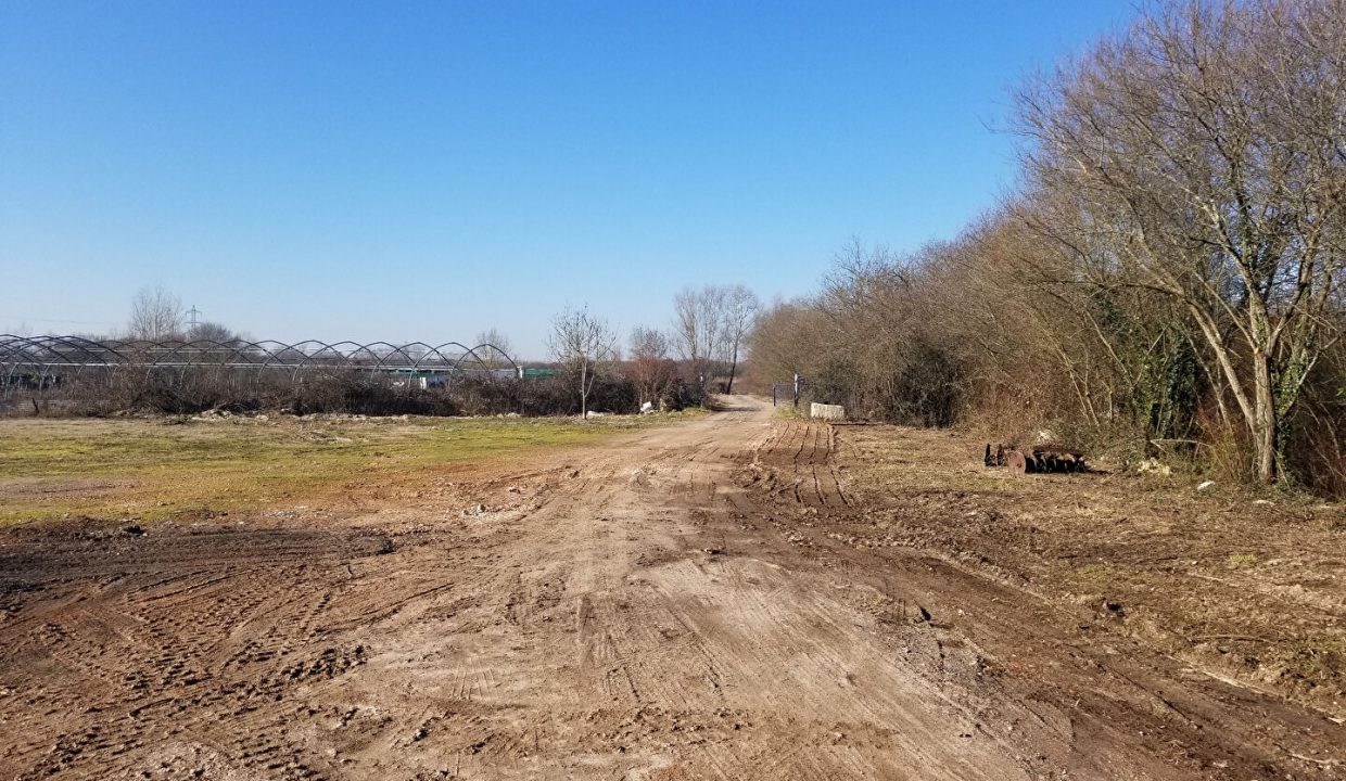 publique-54156811-Nr-4