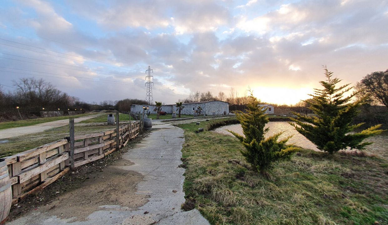 publique-54156813-Nr-6