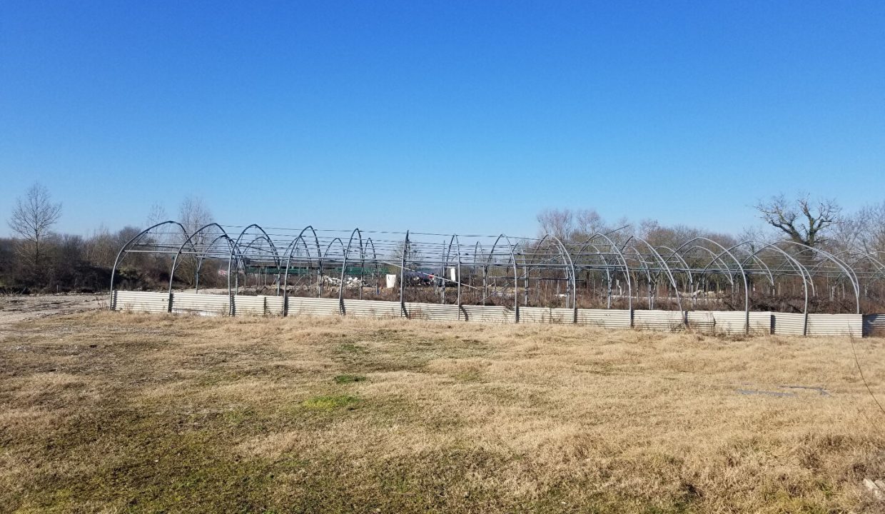 publique-54156815-Nr-6