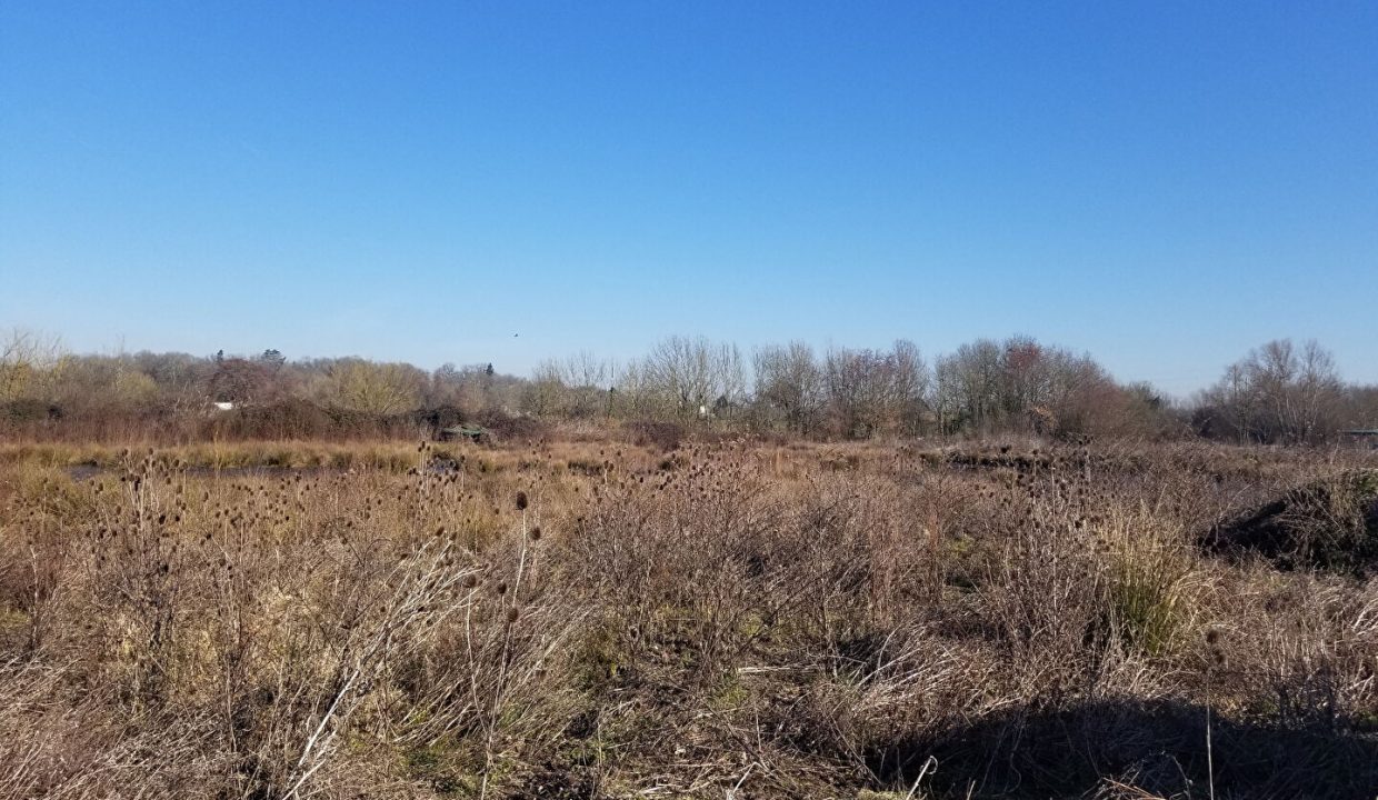 publique-54156824-Nr-2