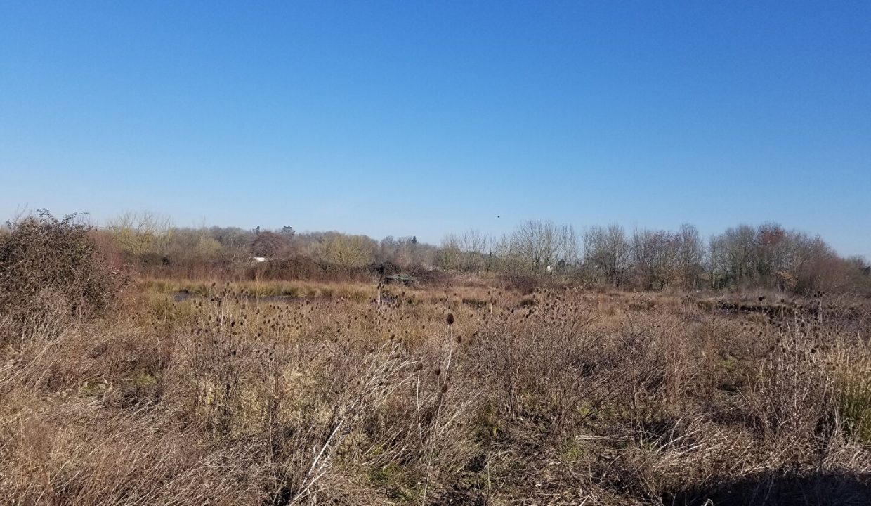 publique-54156826-Nr-1