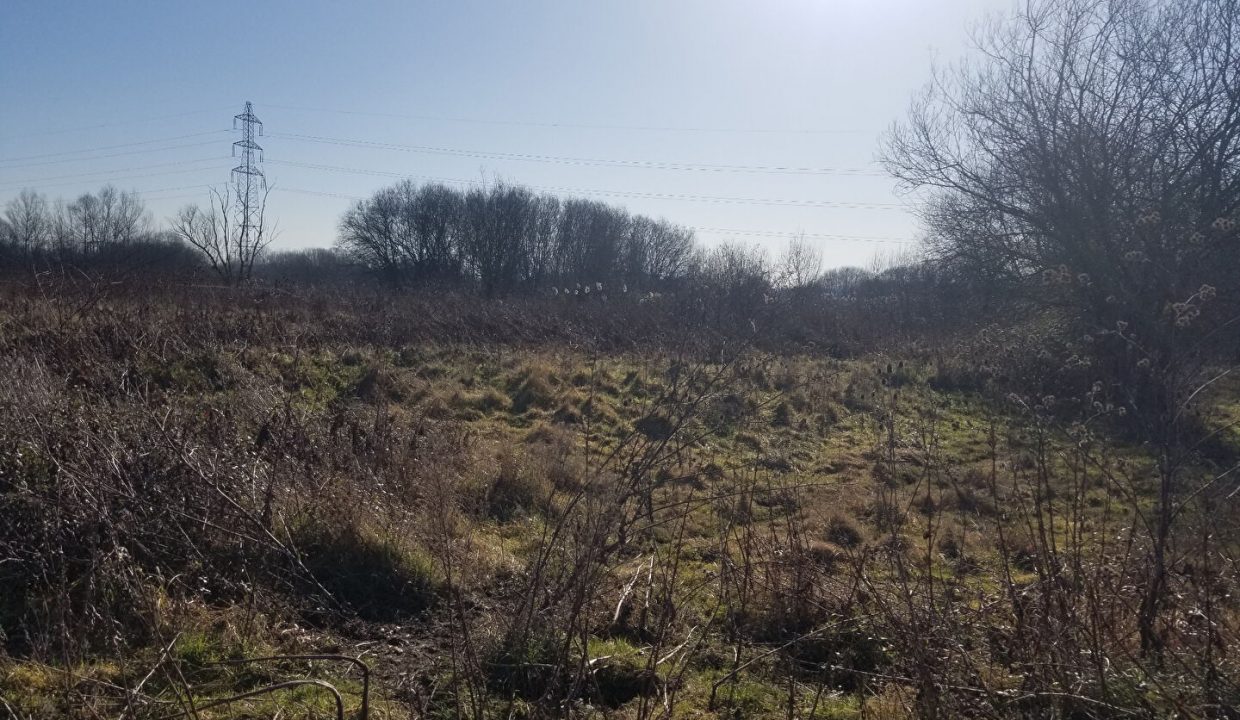 publique-54156826-Nr-3