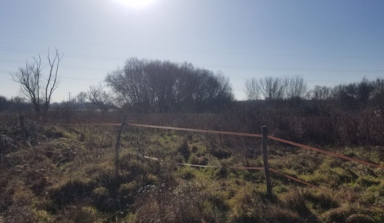 publique-54156827-Nr-5