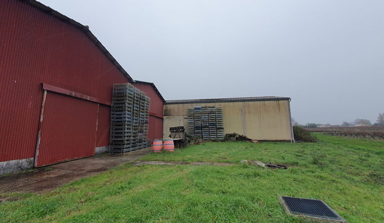 publique-54997846-Nr-5