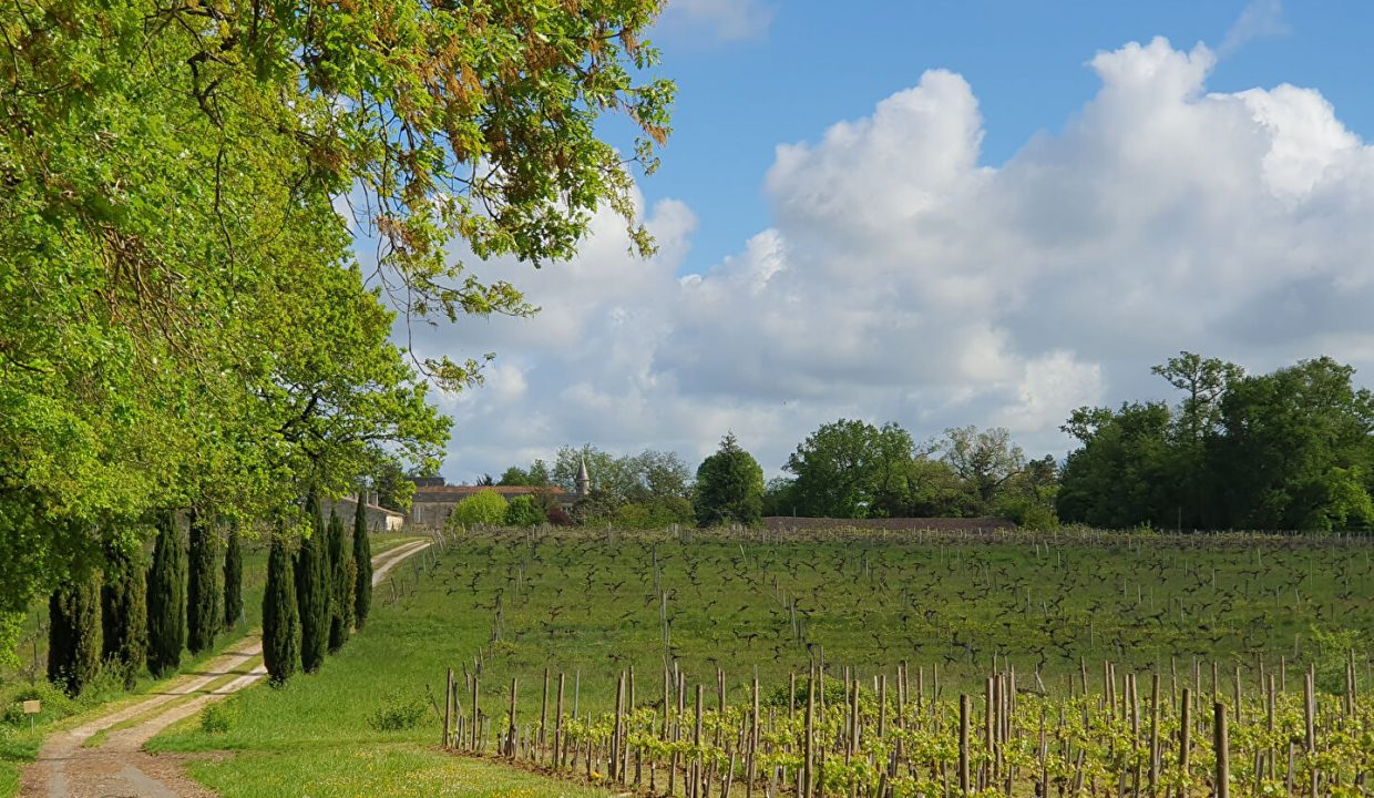 publique-55750139-Nr-1