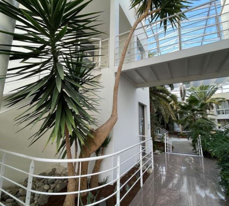 publique-57623577-Nr-3