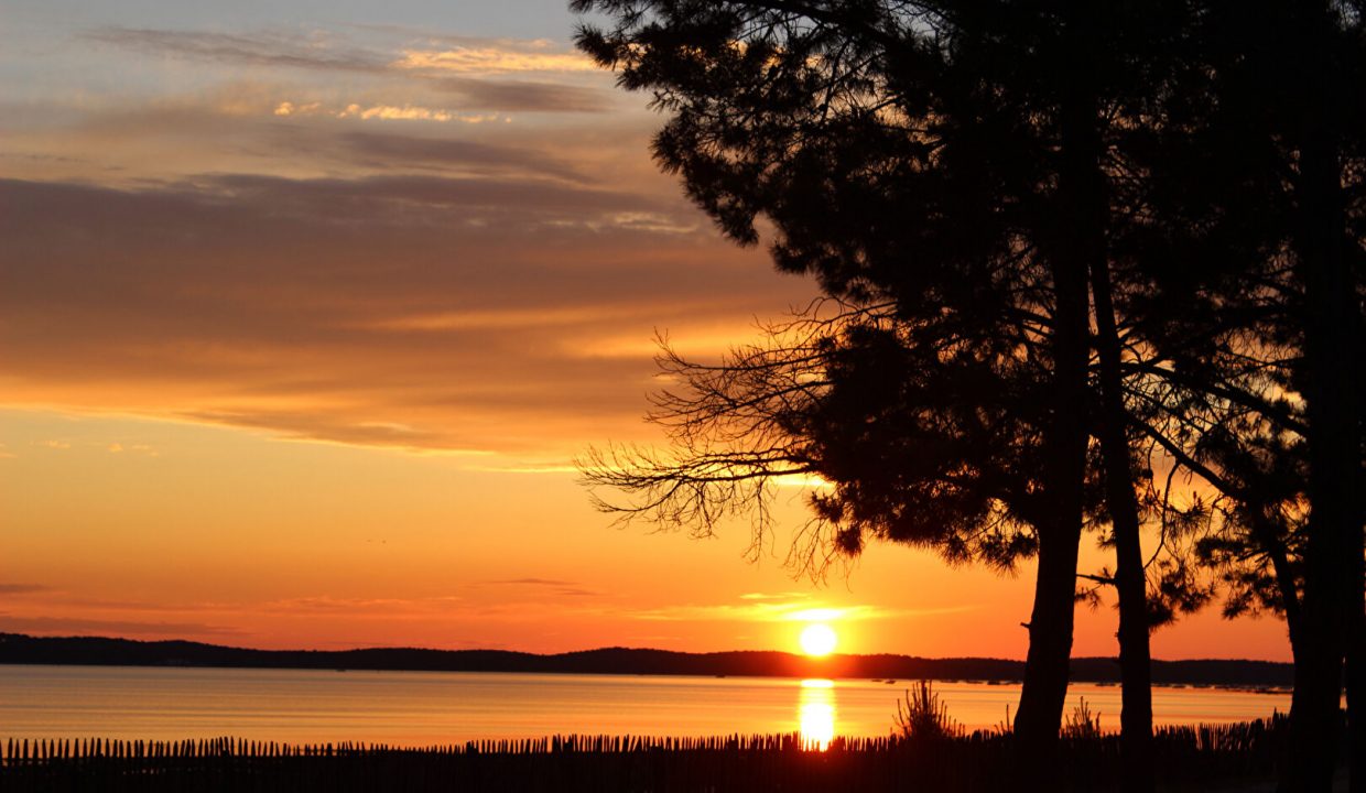 publique-57919207-Nr-1