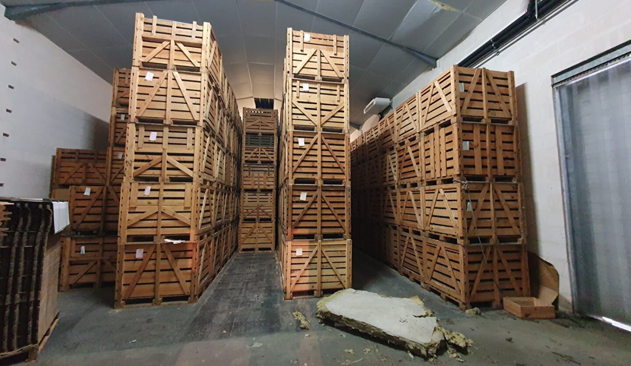 publique-58325623-Nr-7