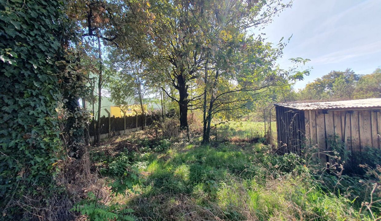 publique-59322539-Nr-5