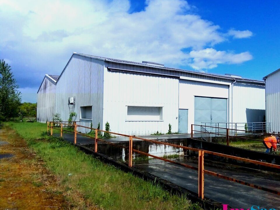 434164785_33LE-0093_1
